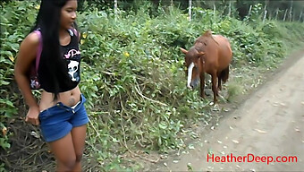 See-Through Video Of Hd Peeing In The Jungle